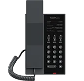 Fanvil H602W